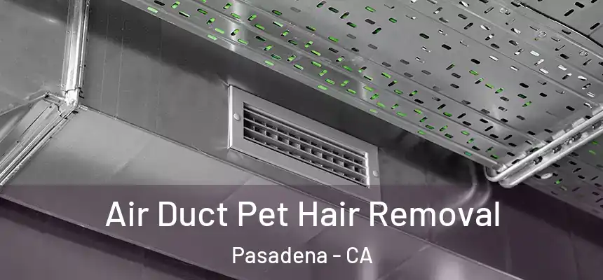 Air Duct Pet Hair Removal Pasadena - CA