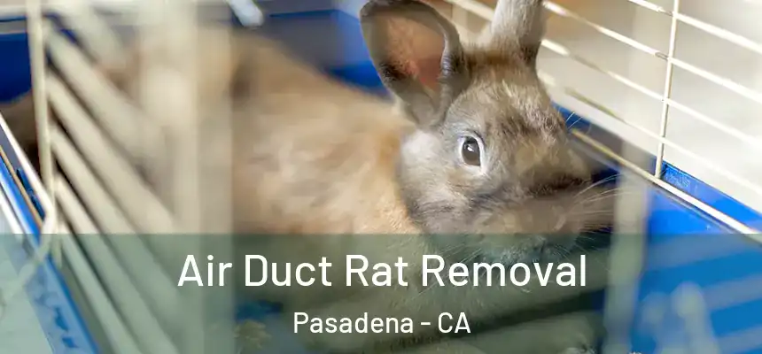 Air Duct Rat Removal Pasadena - CA