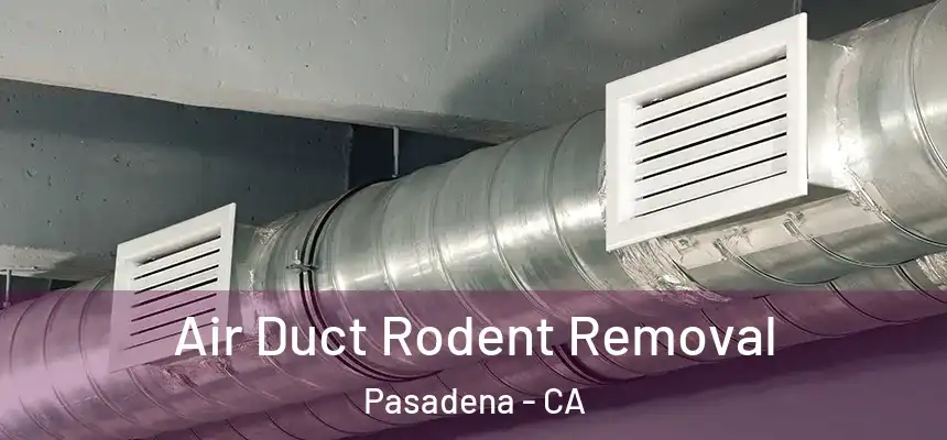 Air Duct Rodent Removal Pasadena - CA
