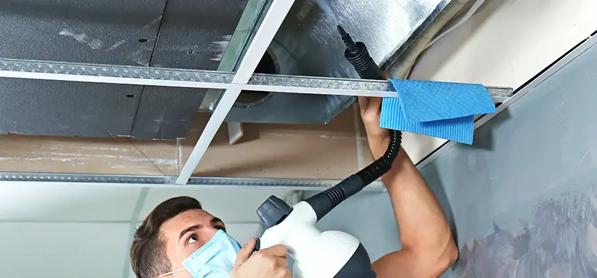 Our Air Duct Rodent Removal Services in Pasadena, CA