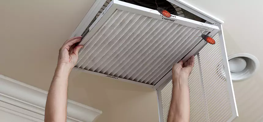 Our Insect Removal from Air Ducts Services in Pasadena, CA