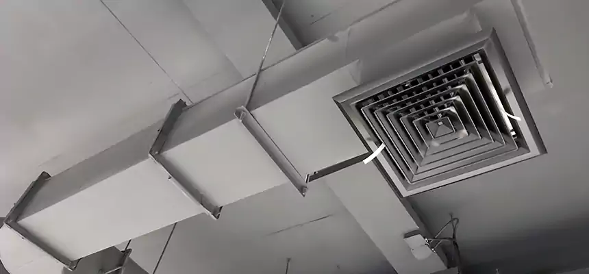 Our Pest Removal From Ducts Services in Pasadena, CA