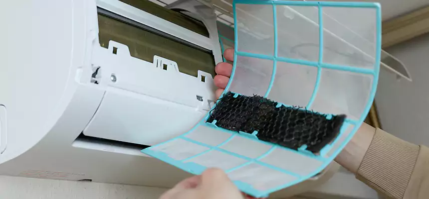 Gentle Ductwork Odor-Control Pet Dander Duct Cleaning in Pasadena, CA