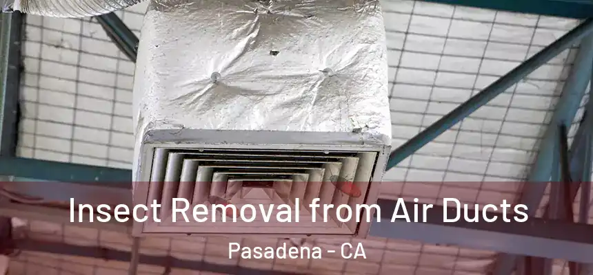 Insect Removal from Air Ducts Pasadena - CA