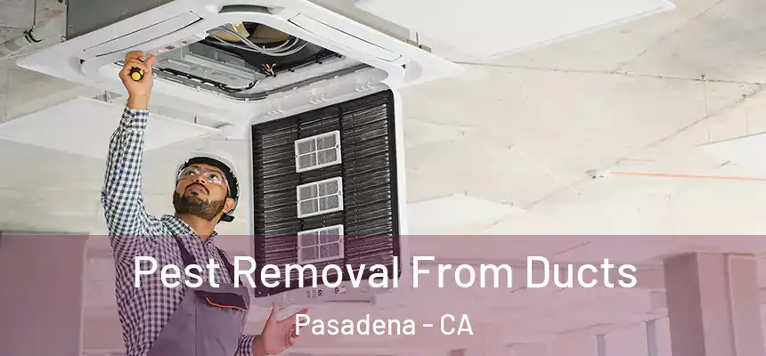 Pest Removal From Ducts Pasadena - CA