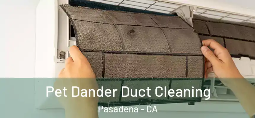 Pet Dander Duct Cleaning Pasadena - CA