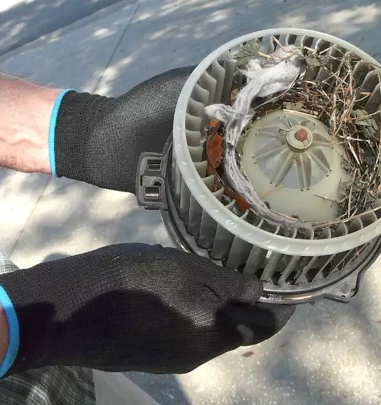 About Air Duct Rat Removal in Pasadena, CA