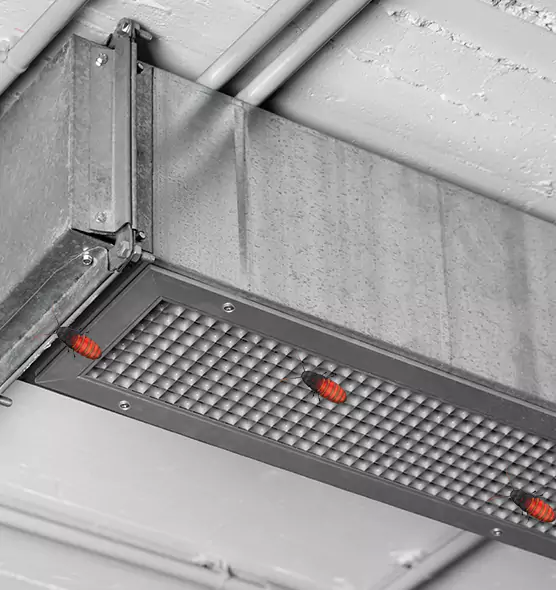 Affordable Insect Removal from Air Ducts in Pasadena, CA