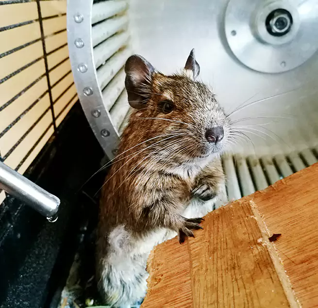 Why Homeowners & Businesses Trust Us Pasadena, CA