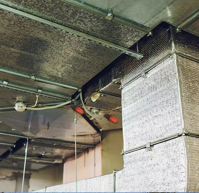 Why Homeowners & Businesses Trust Us Pasadena, CA?