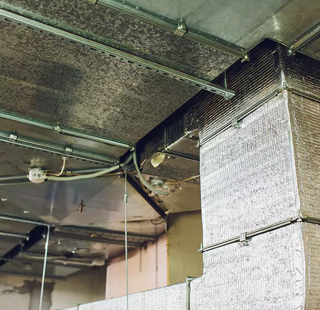 Why Homeowners & Businesses Trust Us in Pasadena, CA?